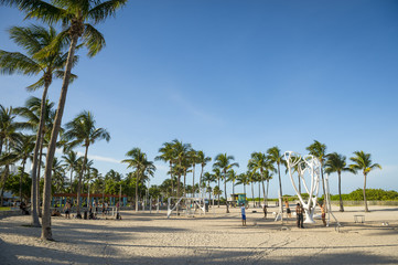 Afternoon view of an outdoor exercise area shaded by palm trees in South Beach, Miami