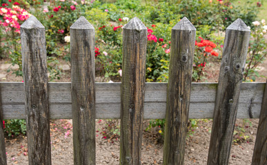 Gartenzaun