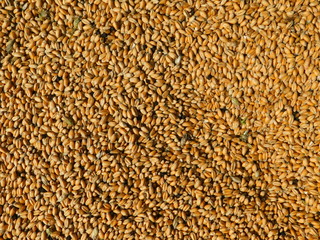 Grain from the bird's eye view