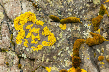 Texturas e padrões naturais em pedras