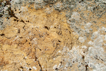 Texturas e padrões naturais em pedras
