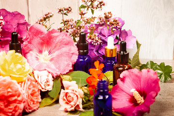 flowers and bottles of essential oils for aromatherapy