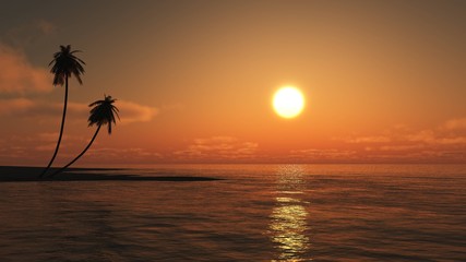 Sunset over a tropical beach in the ocean. Palm trees at sunset.
3D rendering