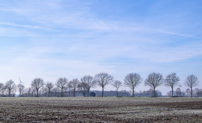 Winterliche Landschaft im Münsterland