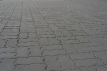 Paving slabs on the path from the side.