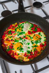 Morning Breakfast of fried eggs with vegetables and fresh herbs.