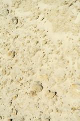 Construction pussy. Close-up photo. Place for your text.