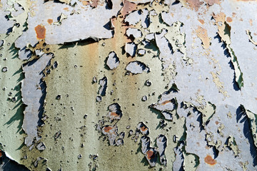 abstract photography of a roof