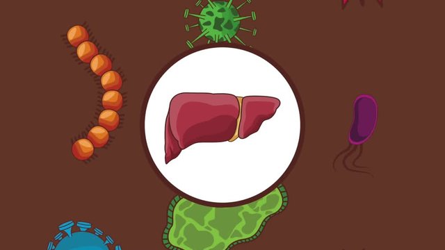 Digestive system round icon over bacterias and virus falling over brown background High definition colorful scenes animation