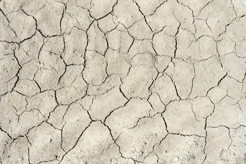 The soil cracked from the drought and the scorching sun.