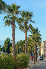 Fototapeta premium Streets of Koper - Slovenia