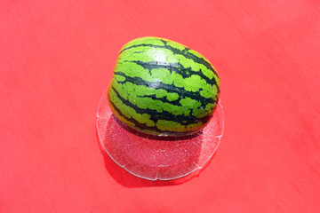 Green striped watermelon on a red background. 