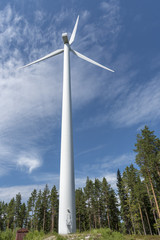 Windmills in Swedish forest