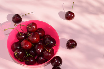 Ripe cherry in a bright pink bowl on a pink table. Several cherries lie on the table. Picking berries. Summer harvest.