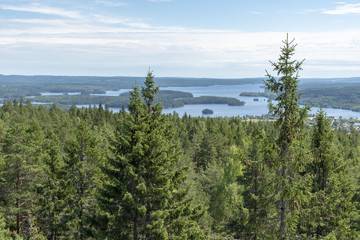 Landscape with forest and lake in Sweden