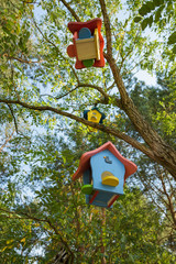 Vogelhaus bunt bemalt, Brutstätte für Vögel, Wald, Vogelhäuser 