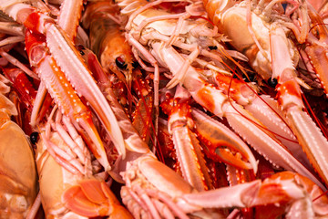 Approach of marine animals. Lobsters freshly caught.