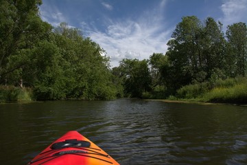 Kayak Trip