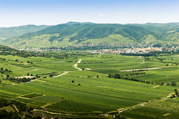 Fototapeta na wymiar Summer view to Wachau valley near Krems, Lower Austria.