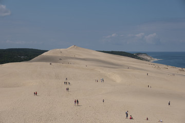 Fototapeta na wymiar Sanddüne in Frankreich 