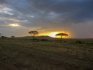 Serengeti Sunset