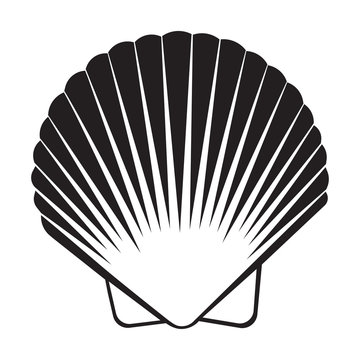 Seashell flat icon