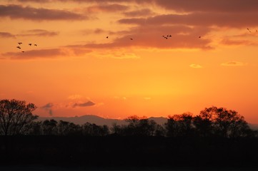 A silhouette of a river that shines in the morning sun