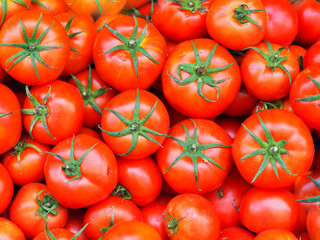 Organic red tomatoes arranged neatly on counter