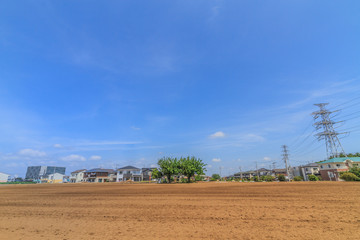 Fototapeta na wymiar 春の四街道市の畑の風景