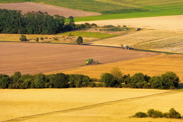 Modern harvest time, combine harvester working on colorful fields, beautiful lines, aerial view.