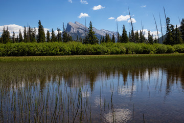 Obraz premium Beautiful Canadian Landscape View during a sunny summer day. Taken in Vermilion Lakes, Banff, Alberta, Canada.