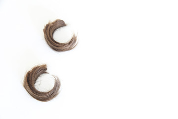 Lock of hair in a white backgorund