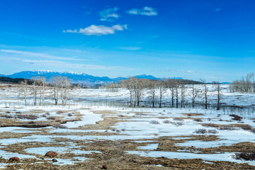 Snow Covered Landscape in USA in Southwestern Utah Along Scenic Byway 12
