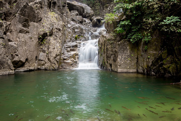 Fototapeta premium Park Narodowy Chanthaburi Waterfall National Park (wodospad Pliw), rzeka i ogród rzeźb