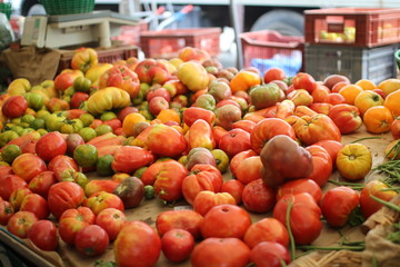 tomato cœur de bœuf 