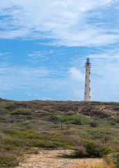 Fototapeta premium Aruba - Noord Lighthouse