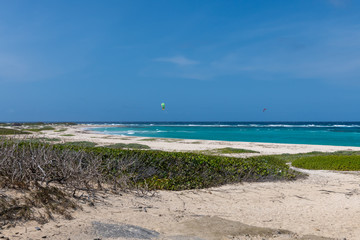 Fototapeta na wymiar Aruba - Kite surfing at Boca Grande