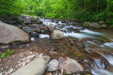 Mountain stream