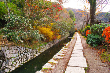 晩秋の京都、朝の哲学の道からみた景色

