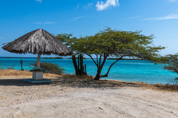 Aruba - Thatched umbrella, cactus and acacia tree overlooking lagoon 