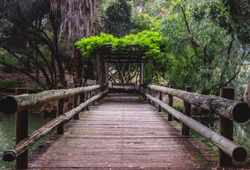 A wooden Bridge