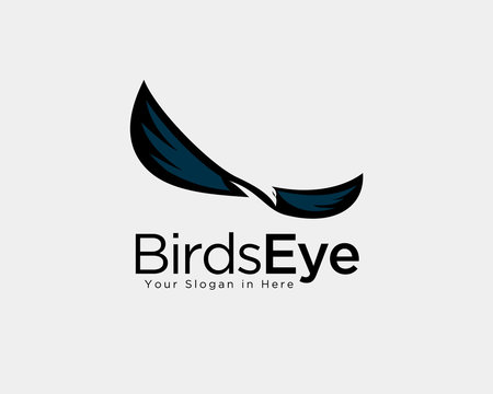 Birds eagle eye logo, eyeglass birds fly eagle, spy eagle