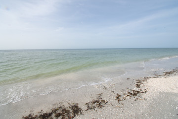 Fototapeta na wymiar Beach Shore 1