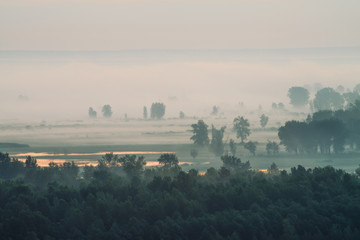 Mystic view on forest under haze at early morning. Mist among tree silhouettes under predawn sky. Gold light reflection in water. Calm morning atmospheric minimalistic landscape of majestic nature.