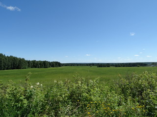 Summer field at noon, Russia