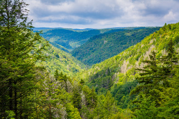 A view of the Blackwater Canyon, at Blackwater Falls State Park, West Virginia.