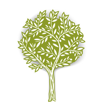 Olive tree. Vector illustration. It can be use for packaging, label, icon and etc. EPS10.