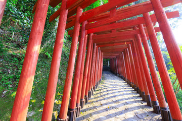 Fototapeta na wymiar 神社の風景