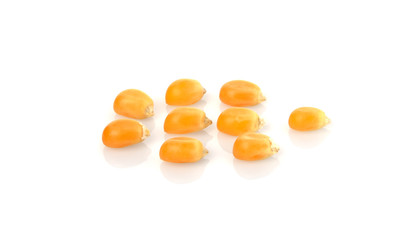 Dried yellow corn kernels on white background.