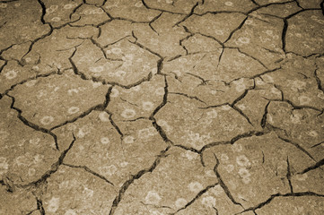 The texture of the cracking of the earth. The concept of using natural resources. Toning